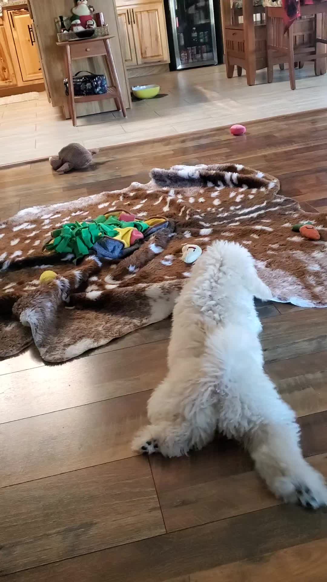 @Debbie Grant Smith