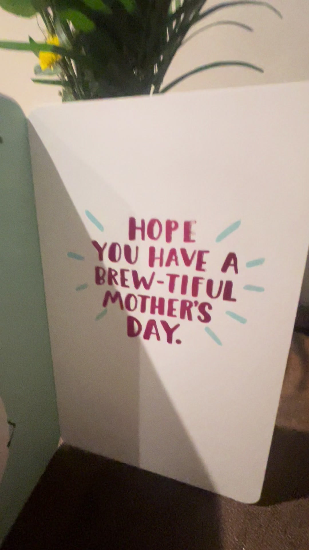 @Jessica Cohen-Knight