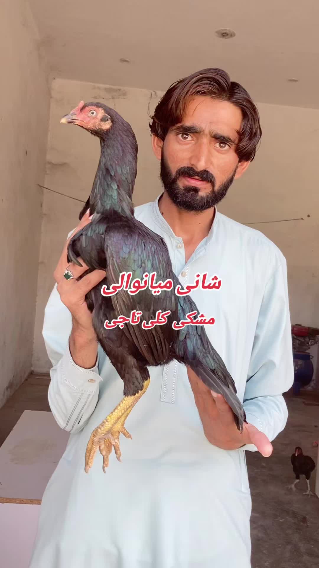 @Shani.Mianwali