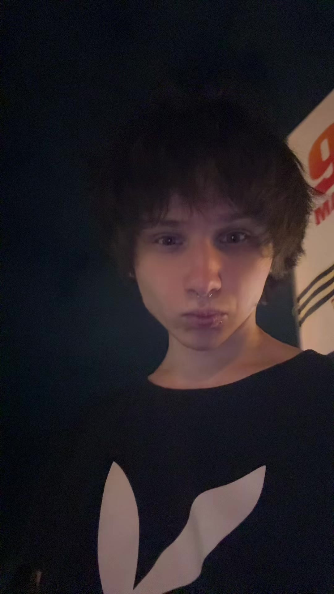 @insimmer