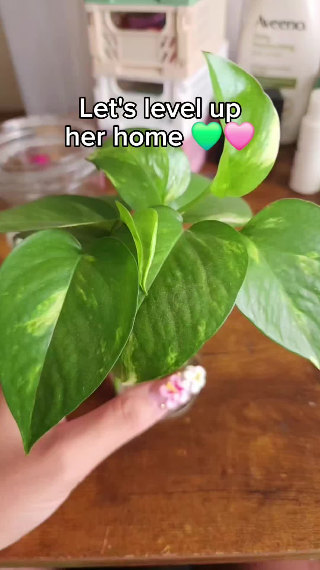 @Alicia ✨️🌱🐛