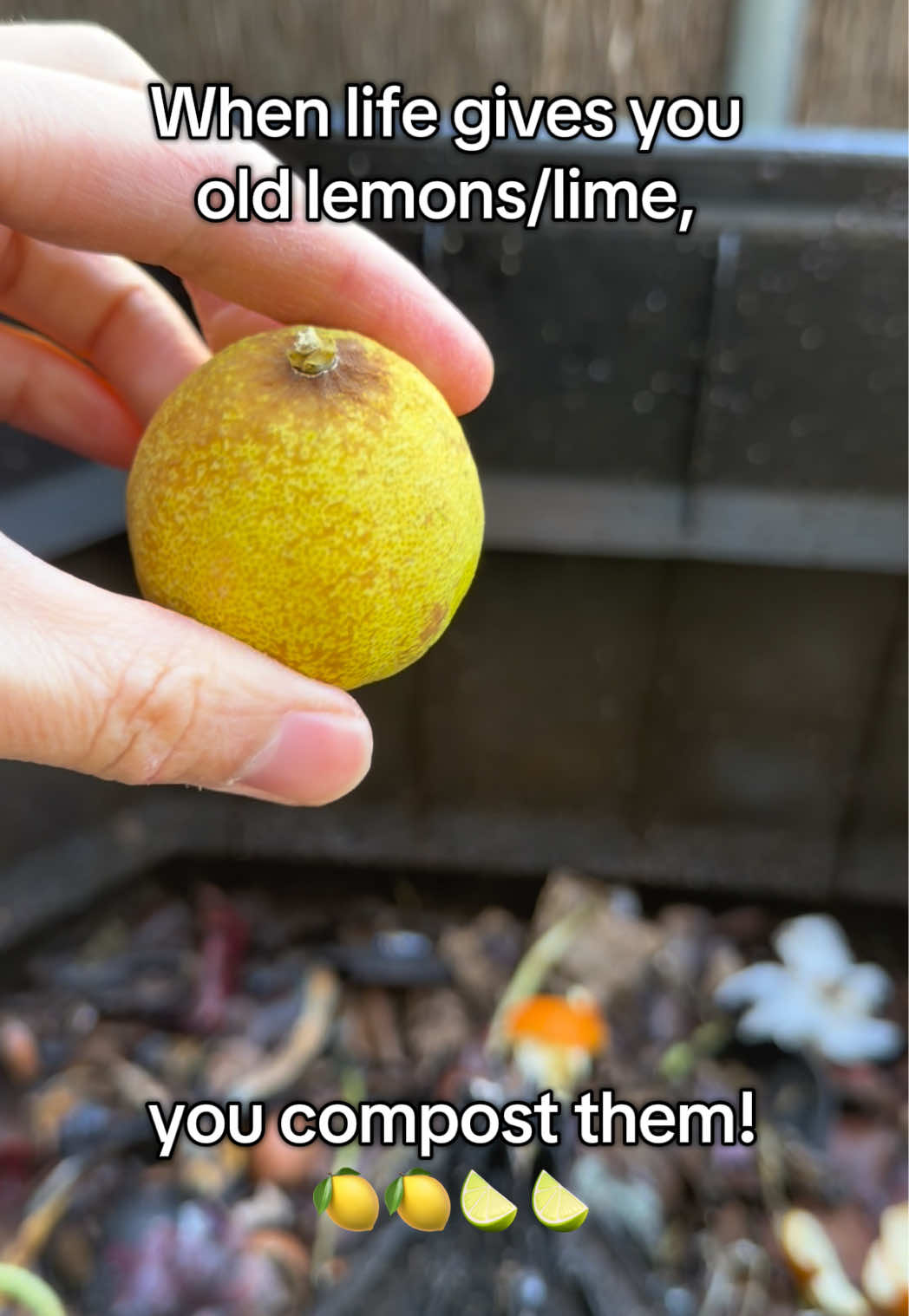 @aerobincomposter
