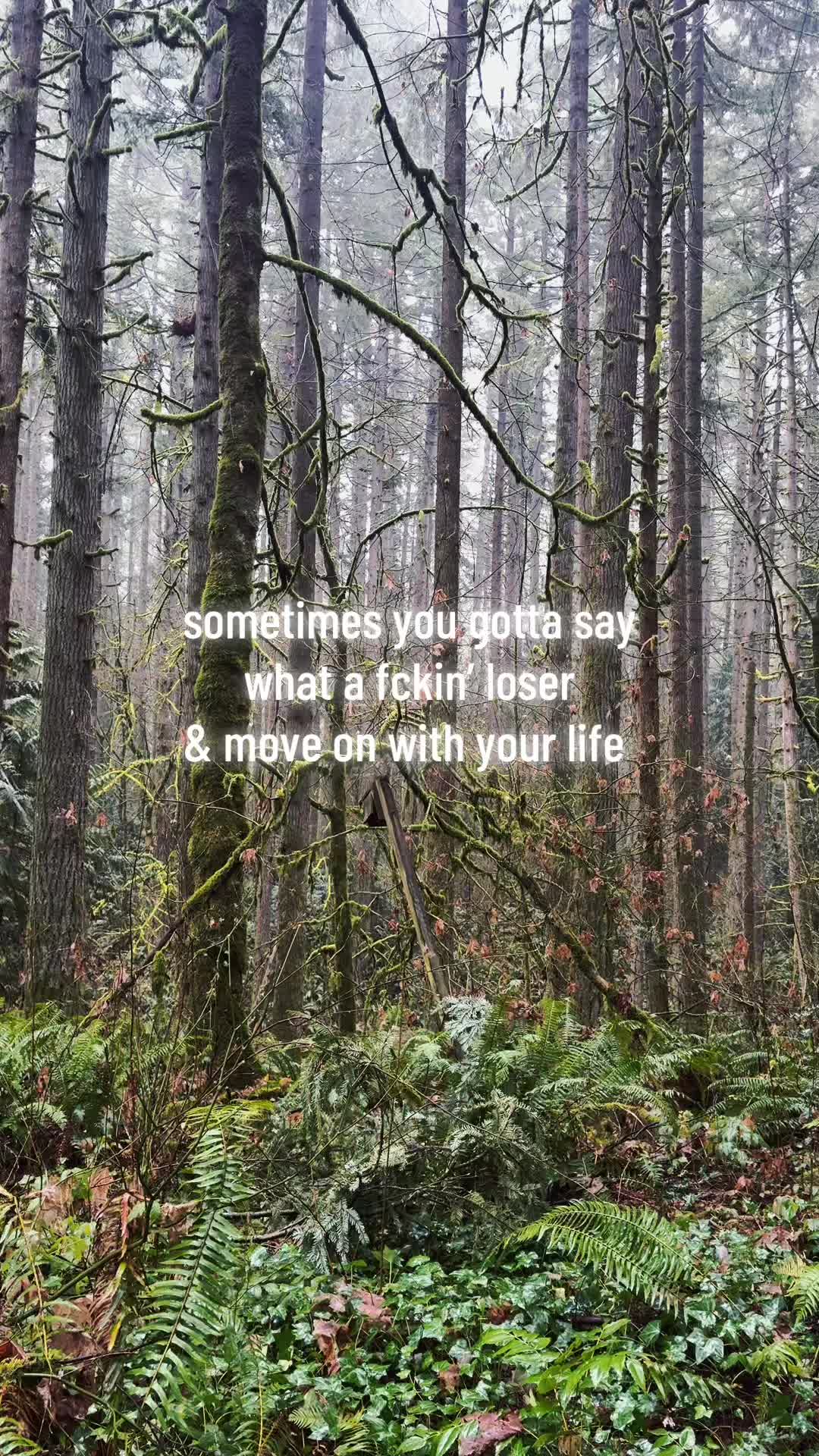 @Cat PNW | 🐈😶&zwj;🌫️🔥☠️🤪