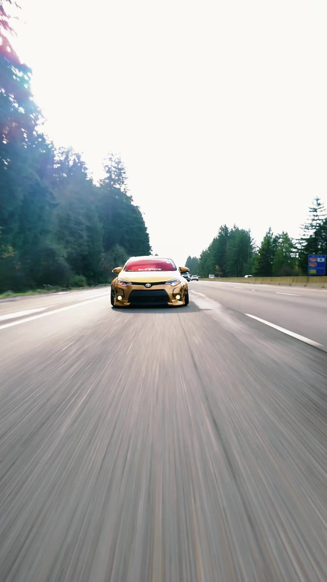 @Dat_bagged_rolla