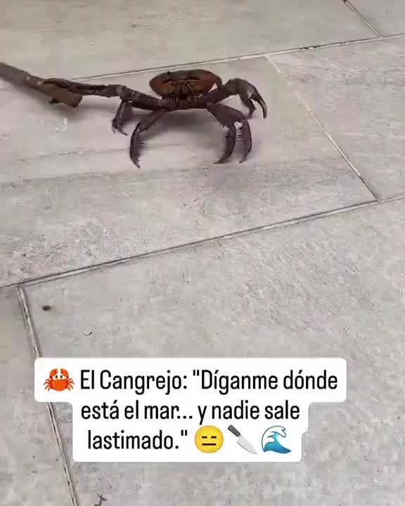 @Francisco Ulises jacinto