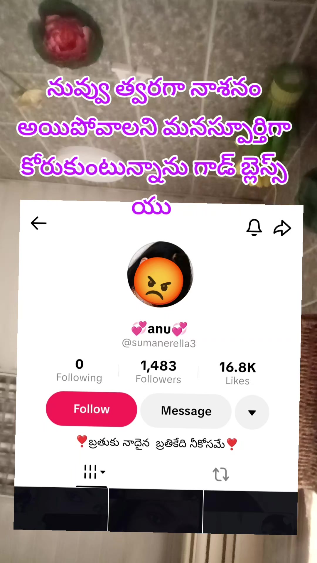 @ఆంధ్ర అమ్మాయి 🫰