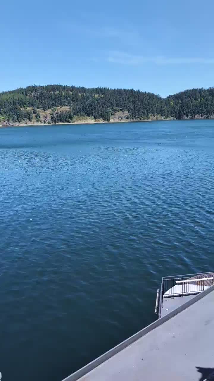 @arjunaryal999🇳🇵🤝🇺🇸