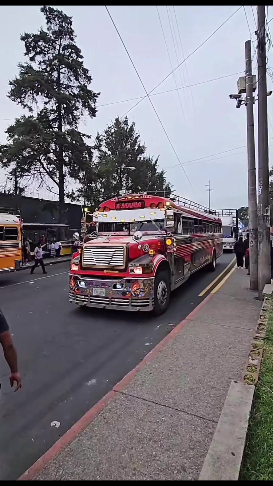 @Busesguatemala oficial ๐๐ฌ๐น