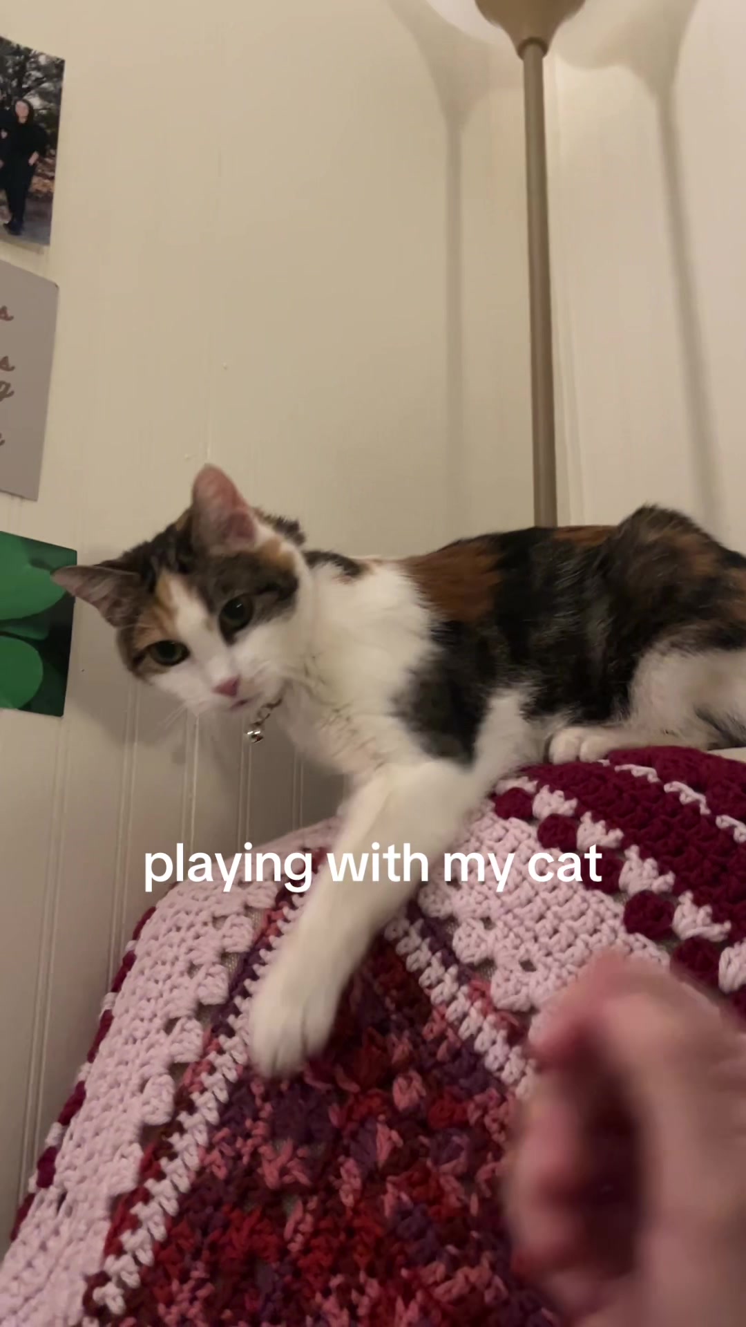 @pennyloafersmom