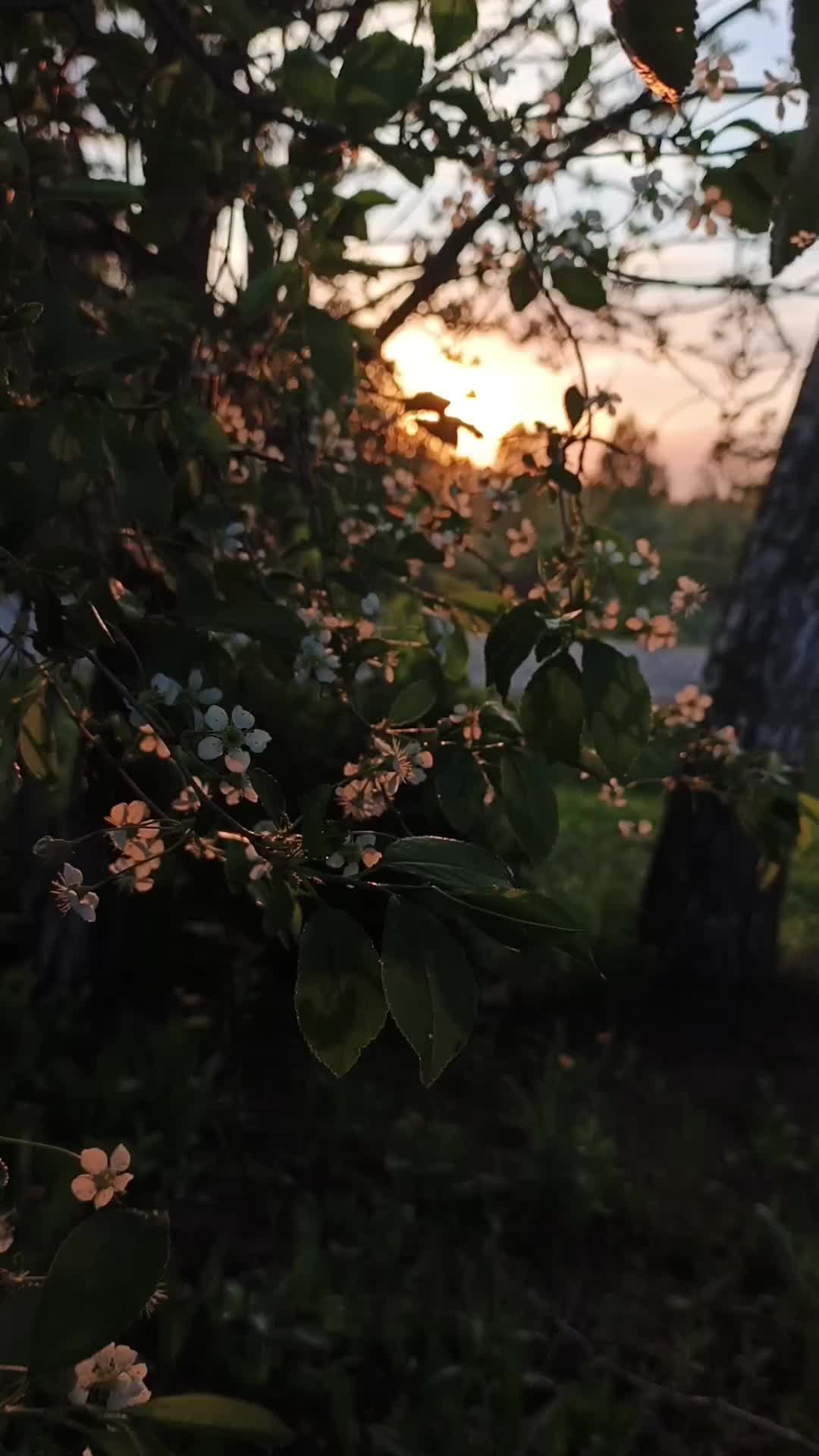 @𝓝𝓪𝓼𝓽𝓮𝓷𝓴𝓪