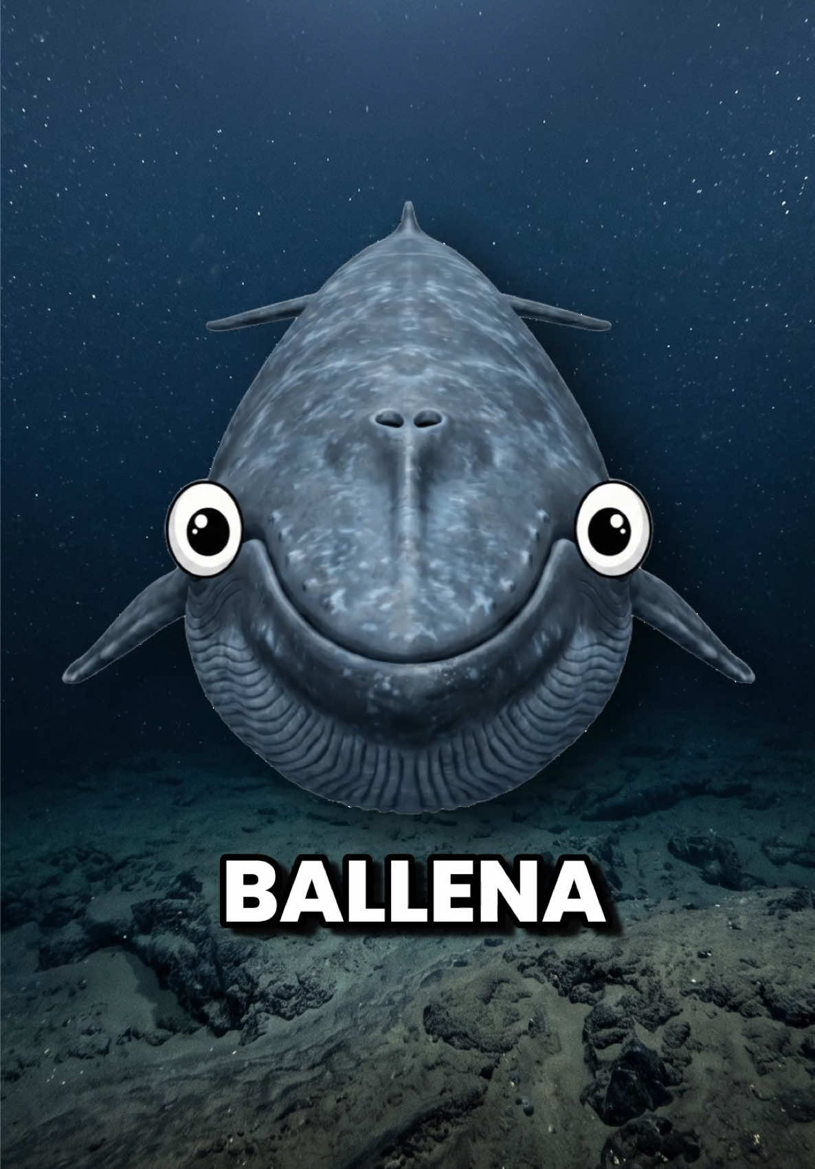 @GabSolf