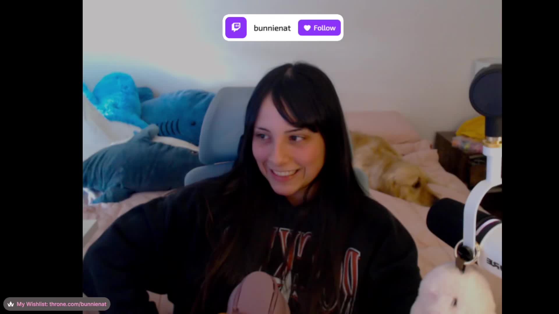 @bunnie