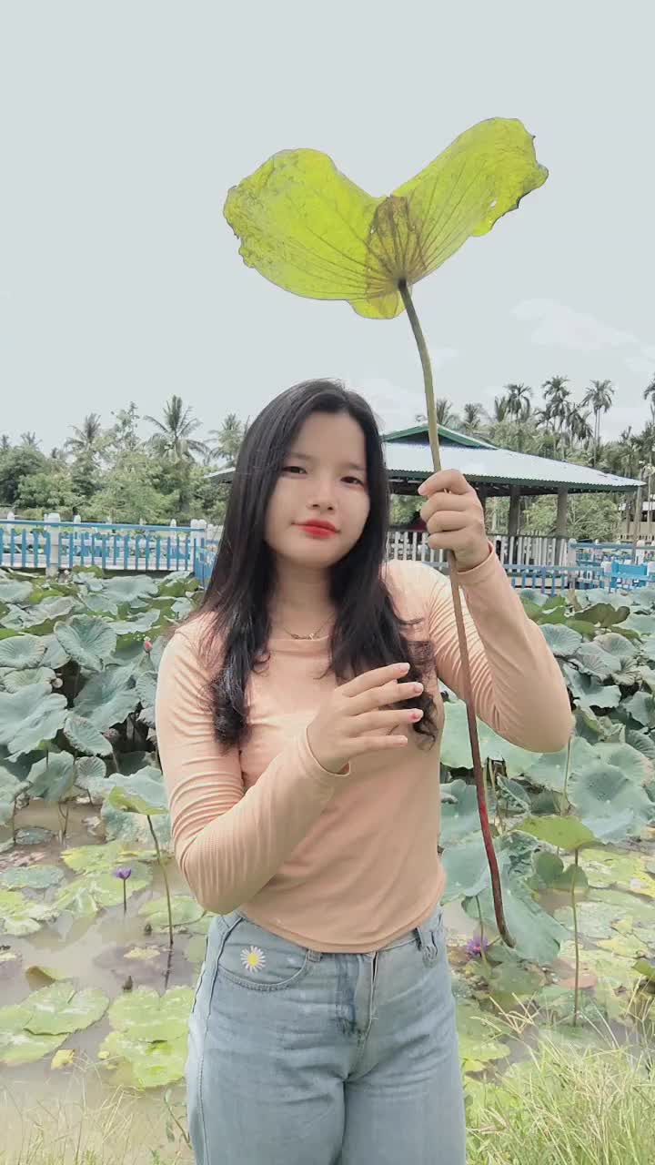 @Daw Gyi Aye Aung