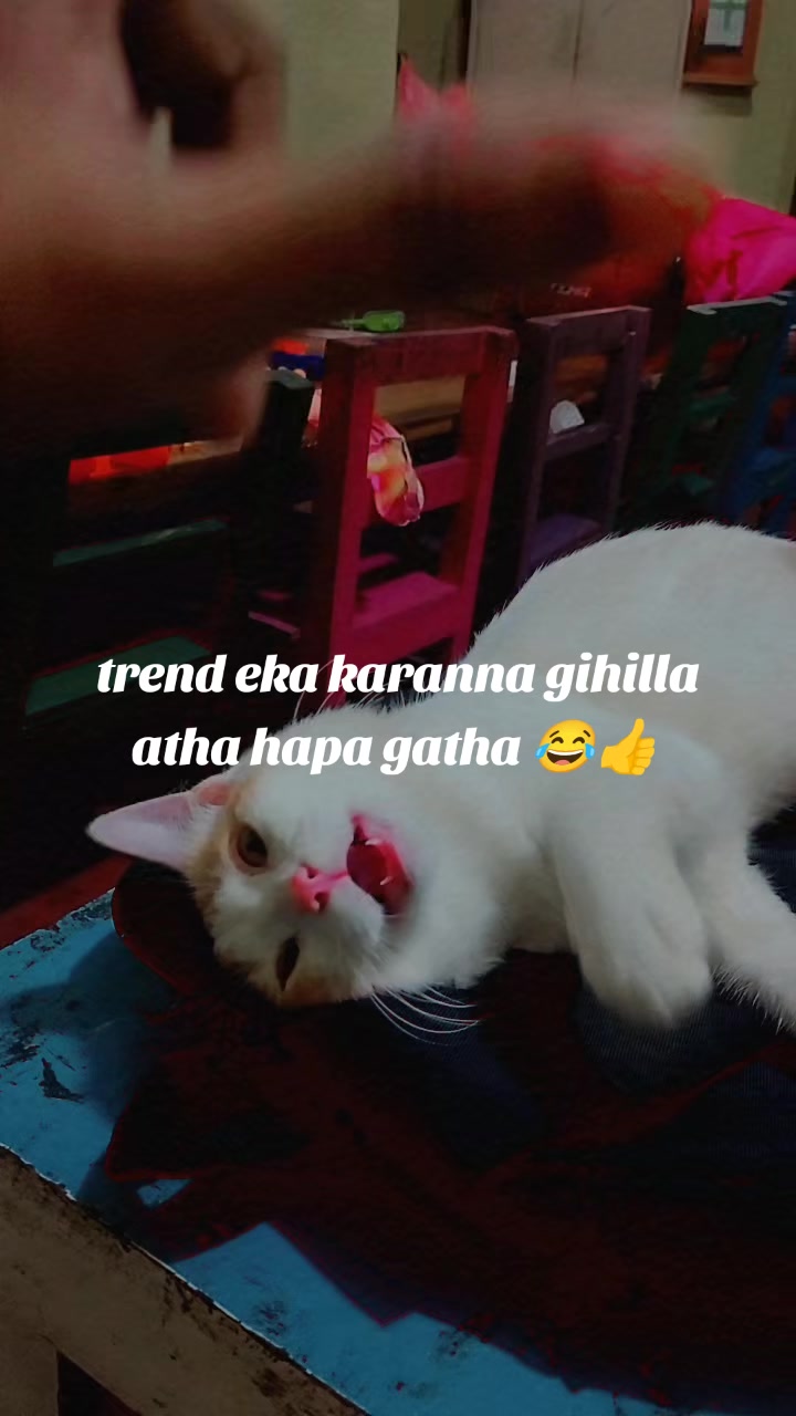 @adhira