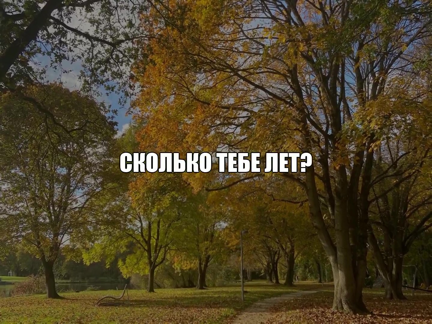 @ikraposev