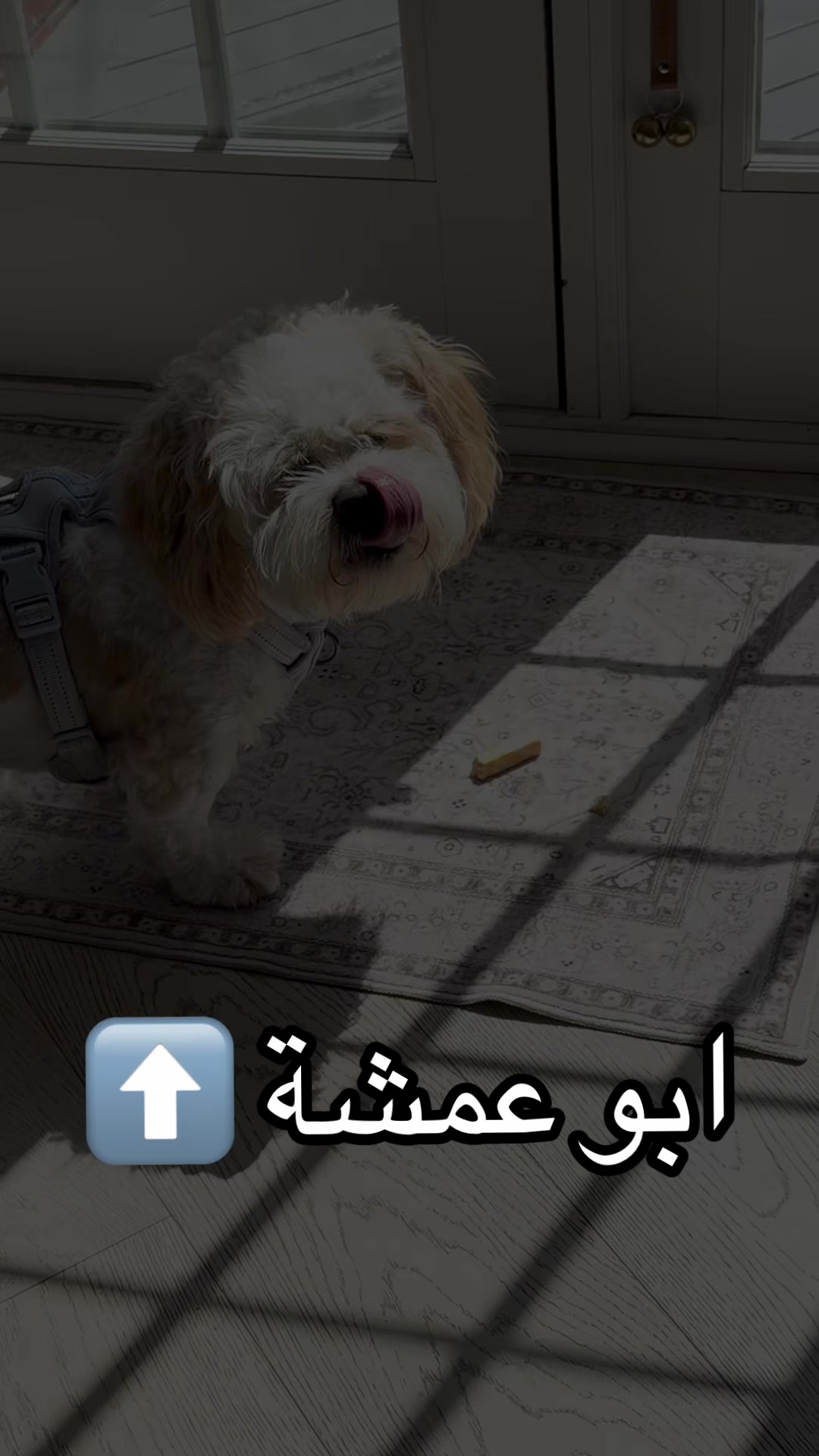 @Lubna . لبنى
