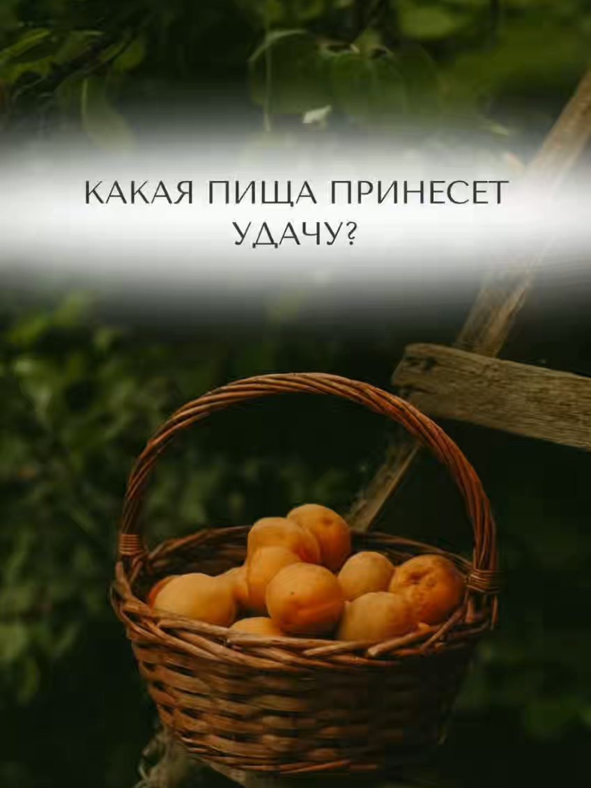 @Олег Торсунов