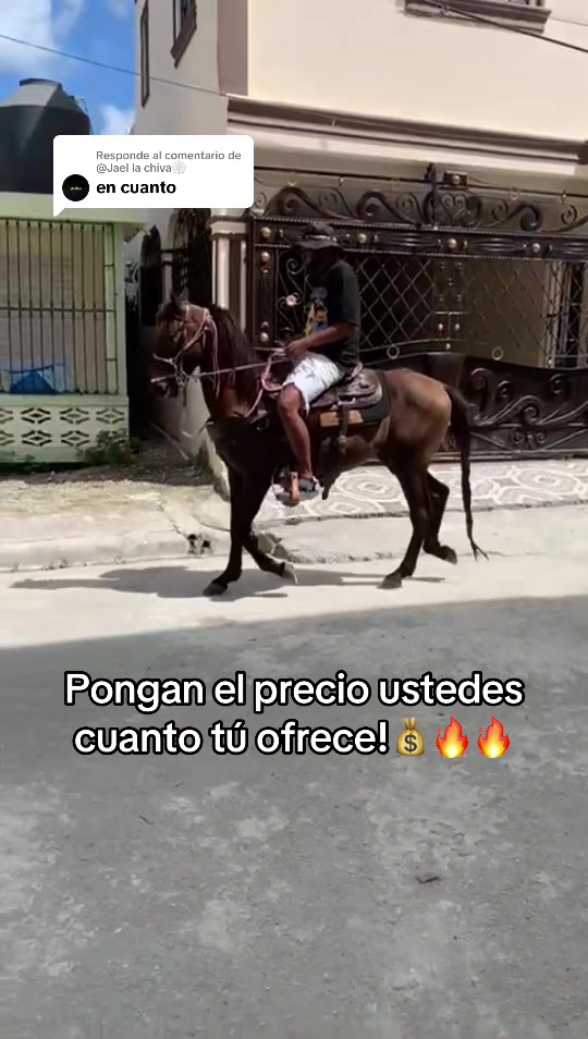 @ariel fortuna 🇩🇴🇺🇸💎💰