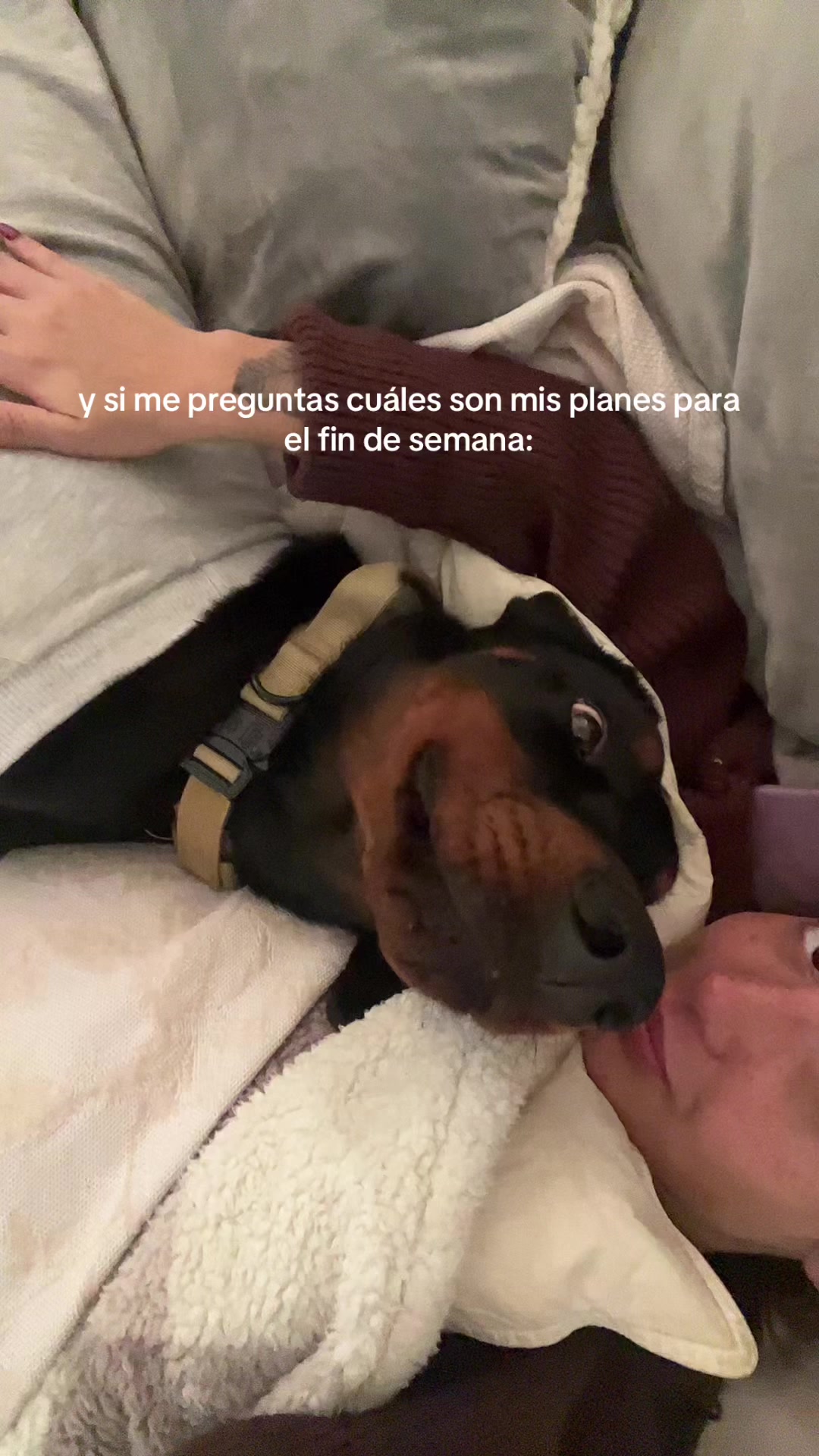 @valebbravo
