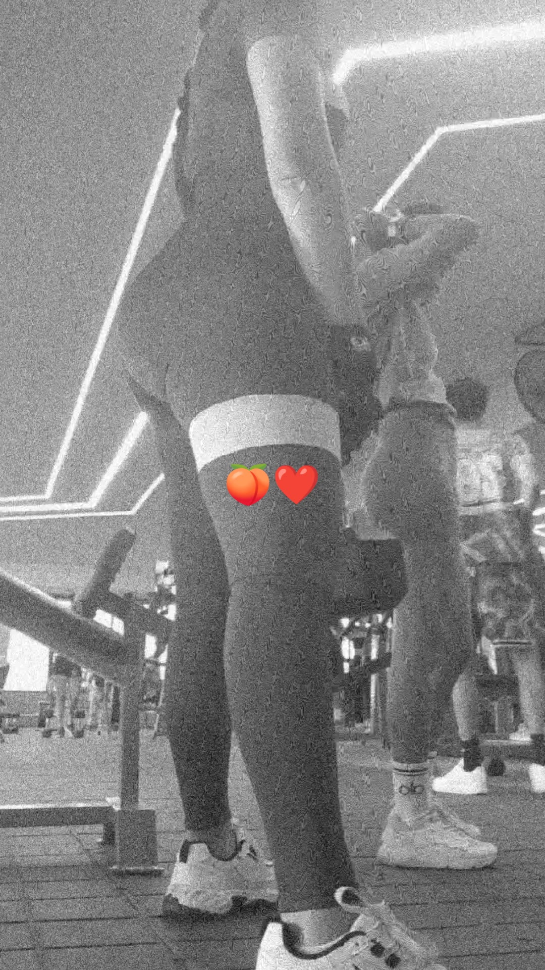 @• C A R O L I N A •