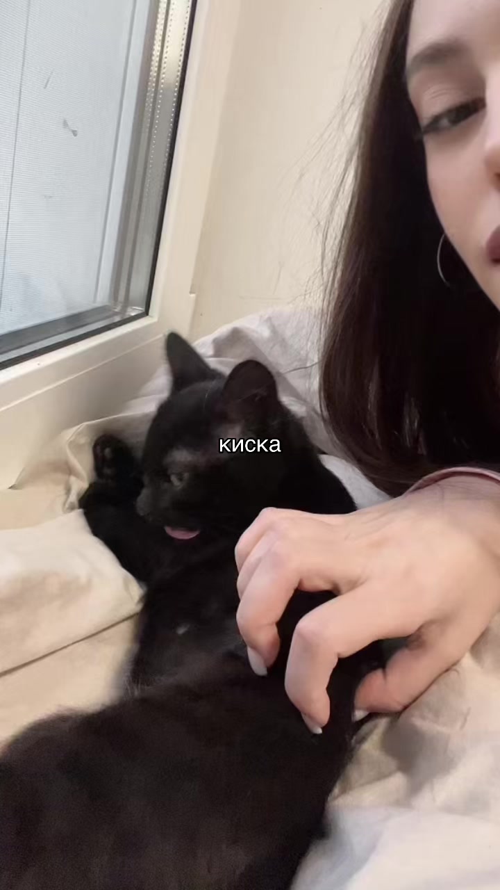 @mibaak
