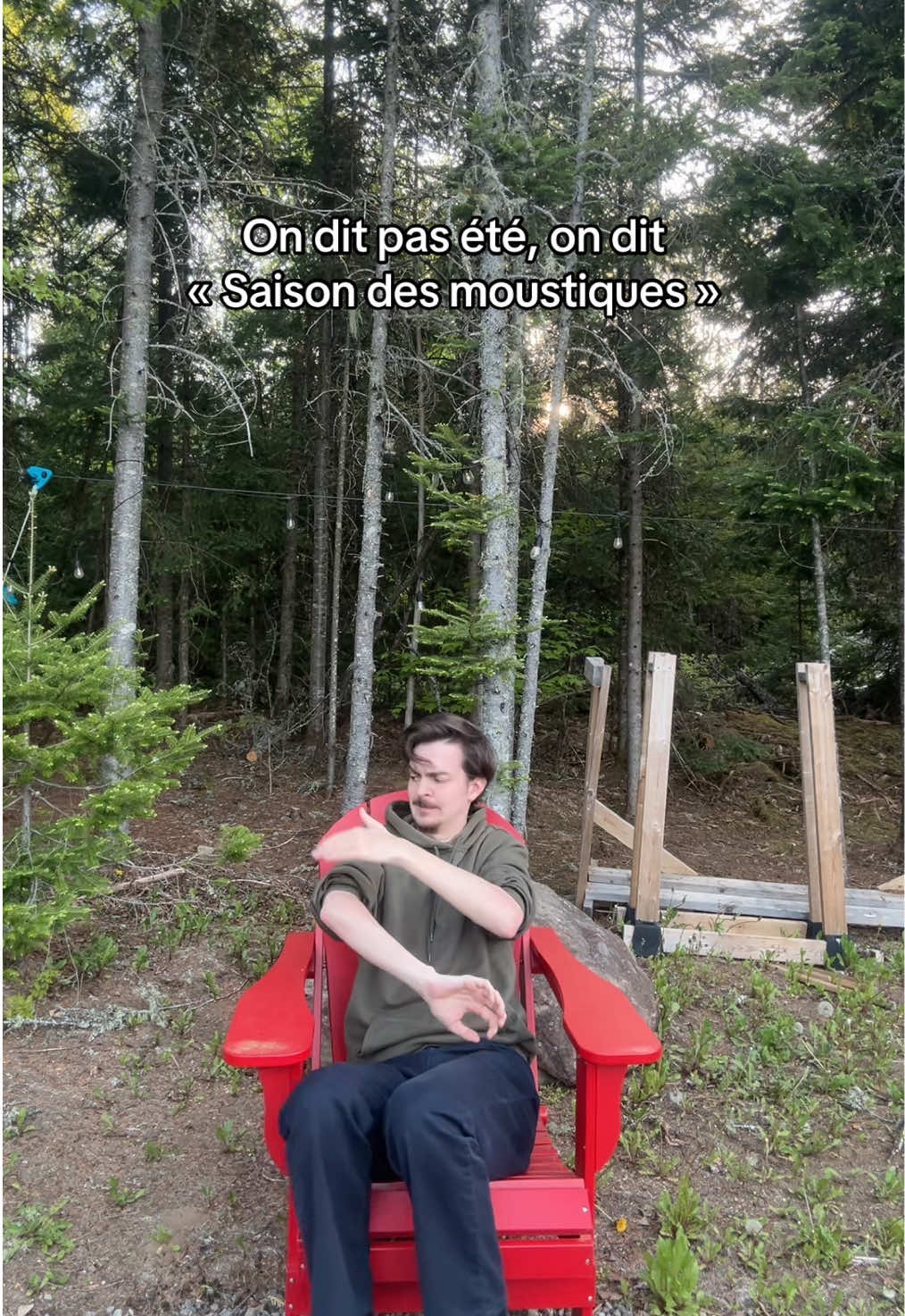 @Gabriel Forest
