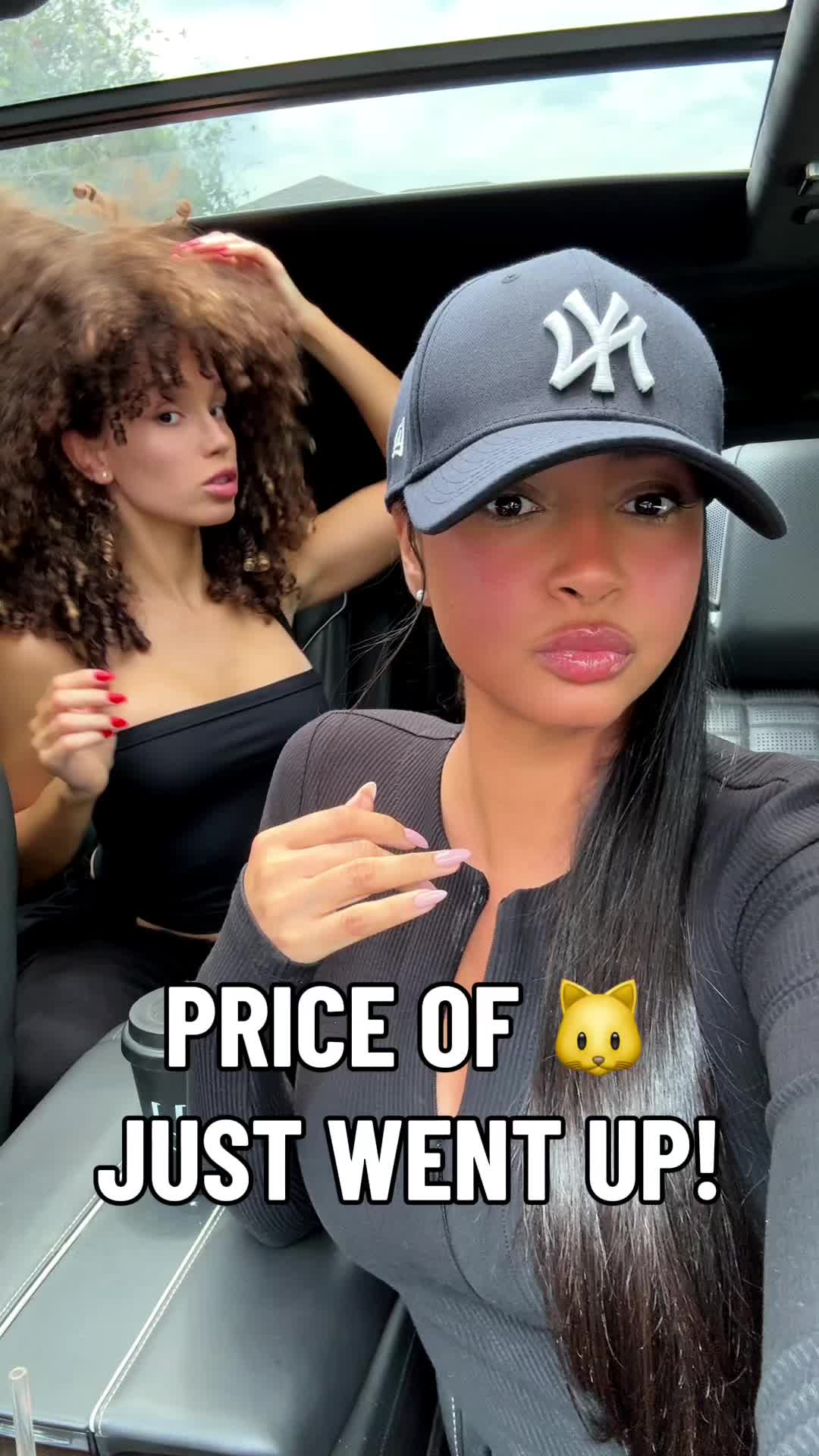 @tazsangels