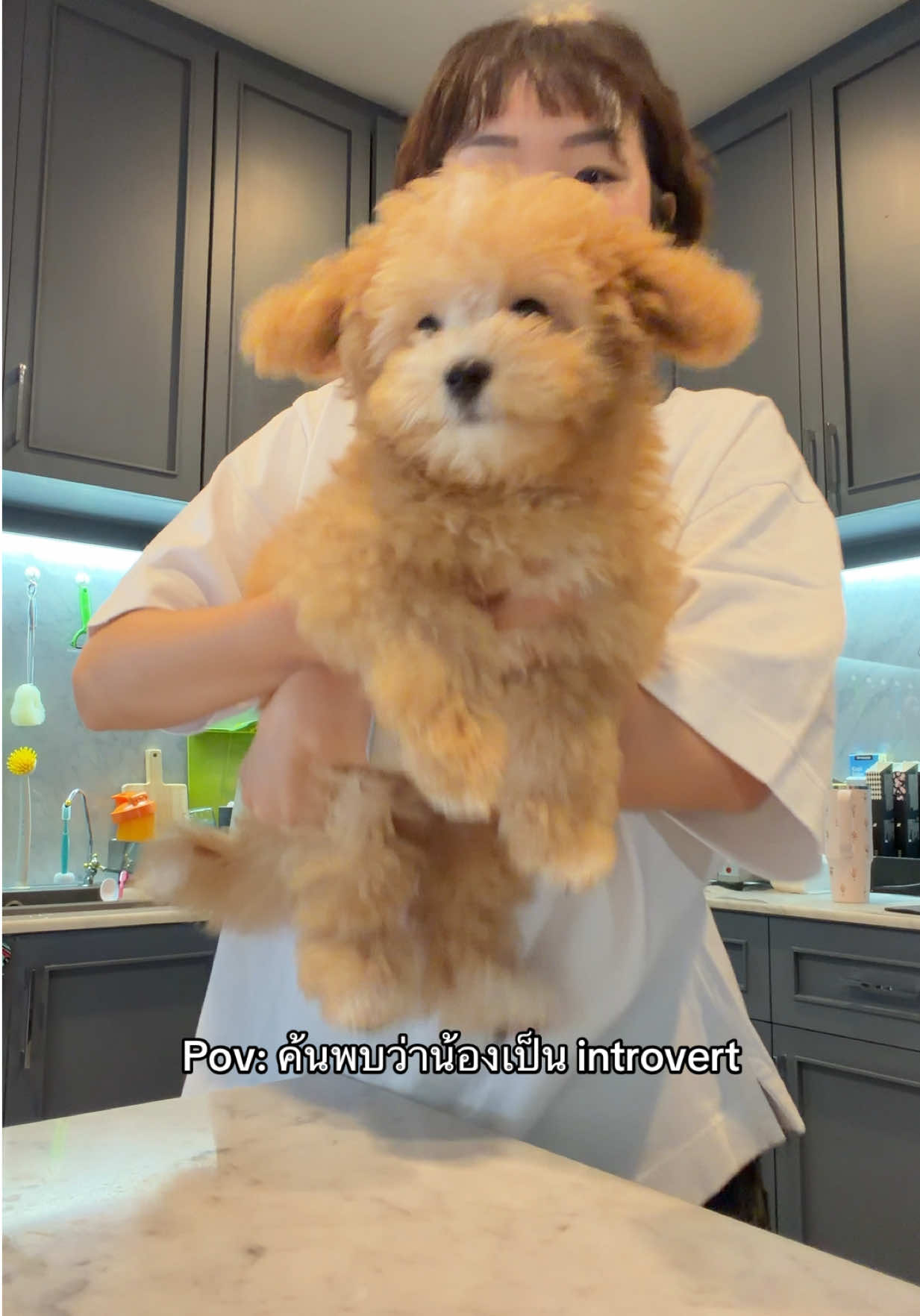 @พาสต้าอวยแต่ของที่ชอบ