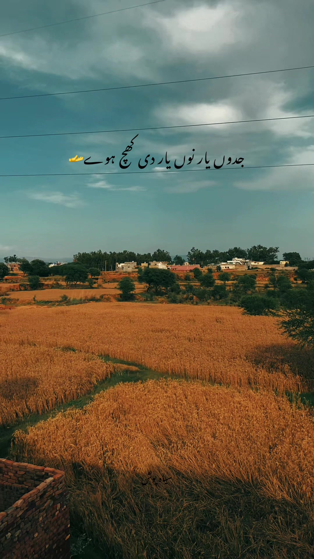 @سیاہ پوش🖤