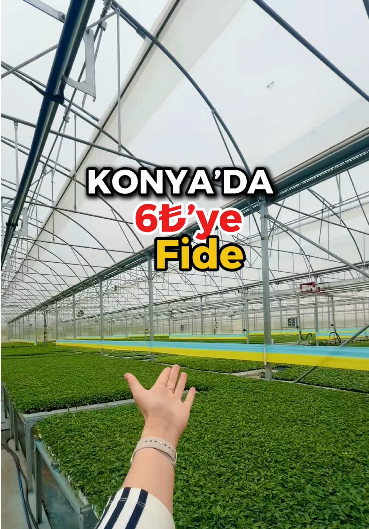 @Konya Gezgini