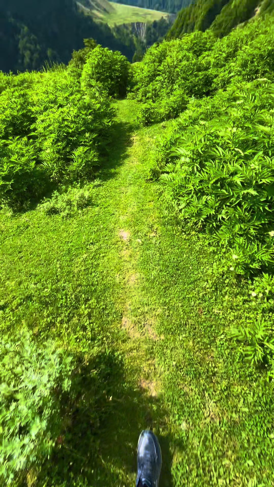 @𝑨𝒅𝒊𝒍𝒐𝒗🌿