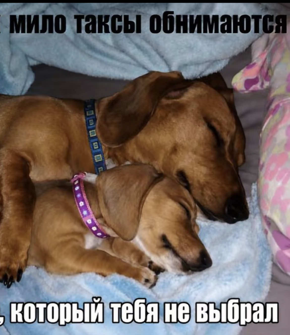 @тгк: арианочка прекрасная
