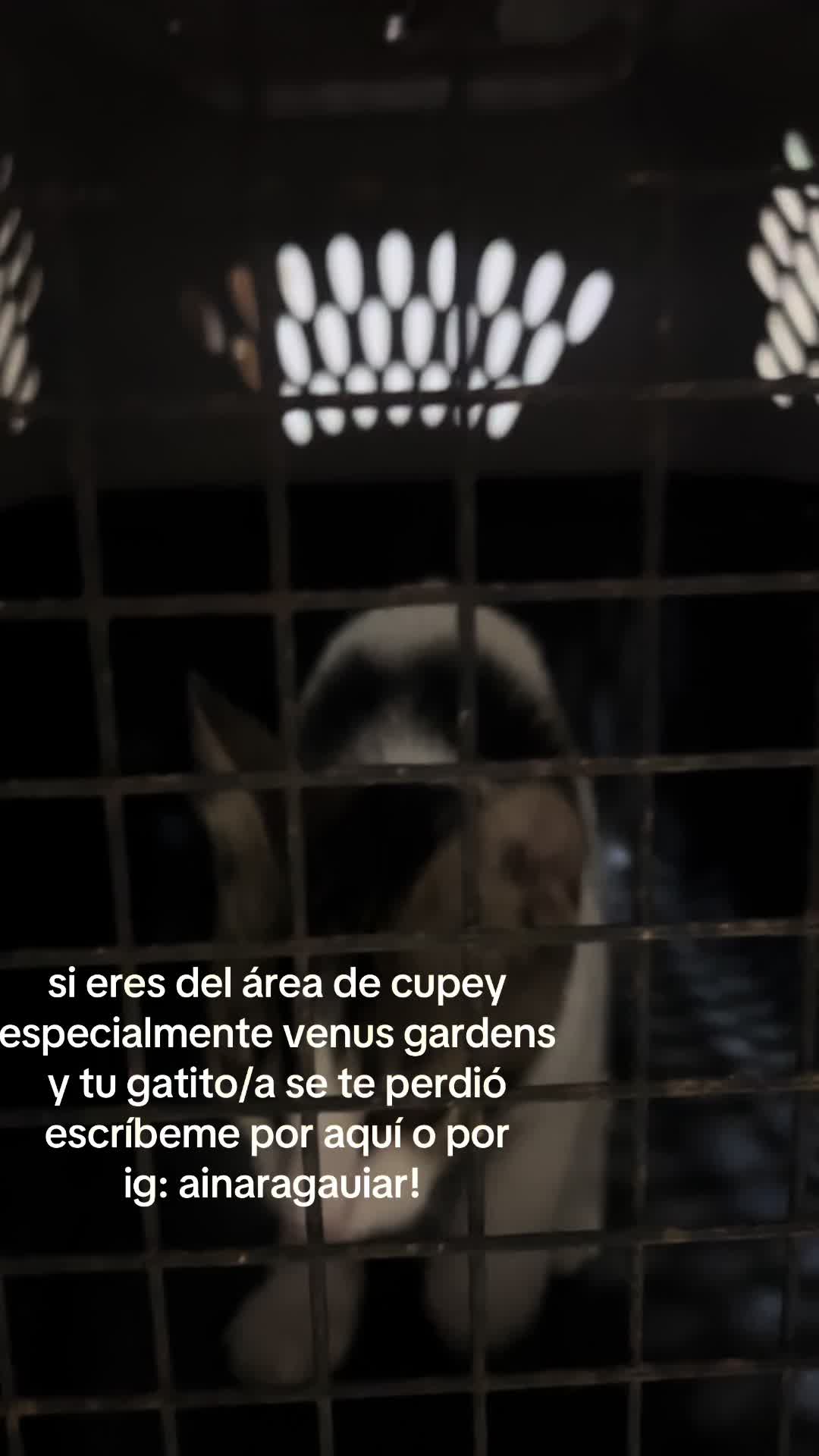 @ainaraguiar