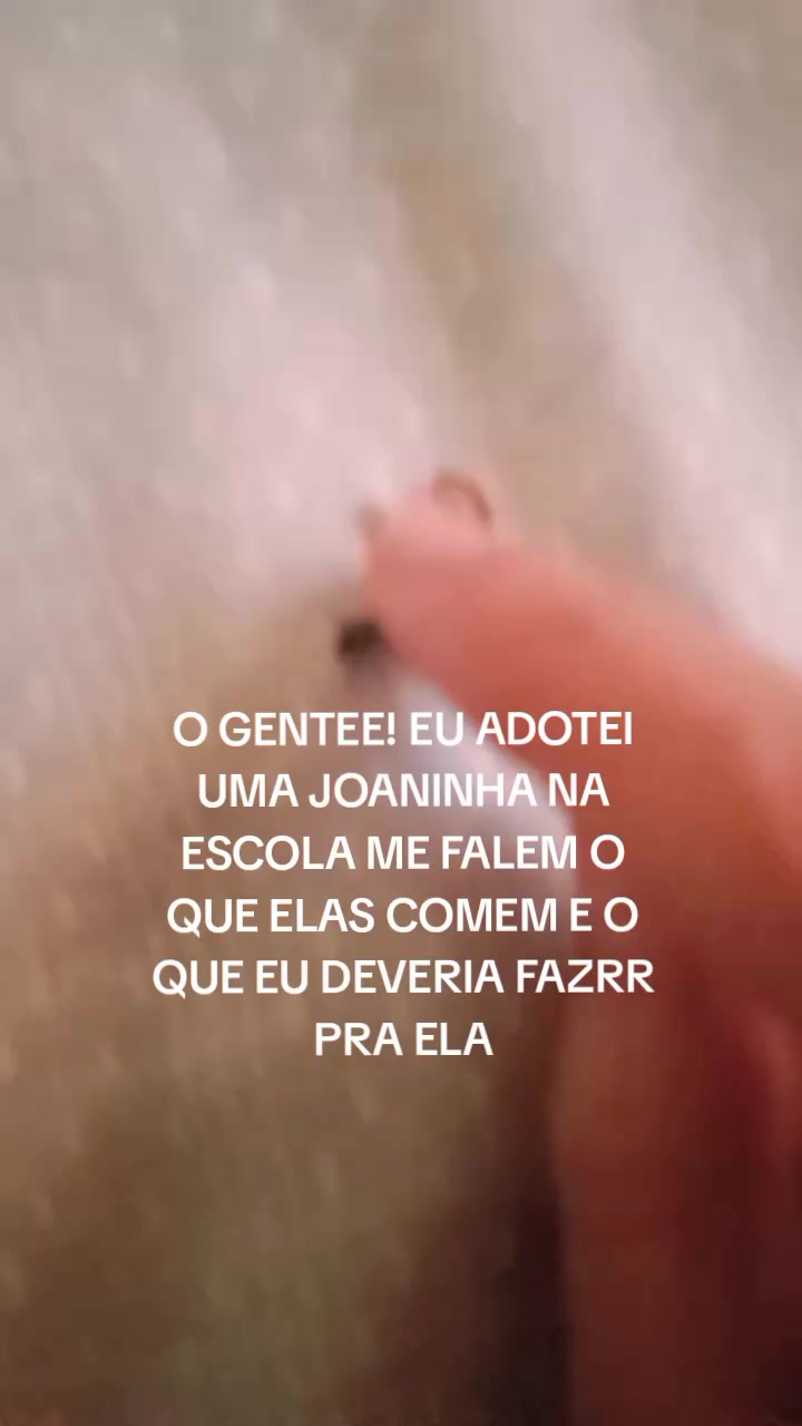 @🧑&zwj;🦲✿☆~DORA~☆✿🧑&zwj;🦲
