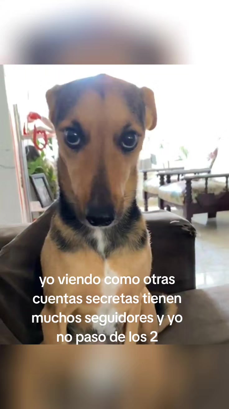 @👤