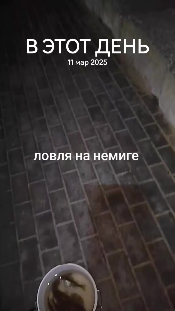 @рыб@чок