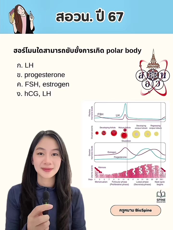@Biospine by ครูหนาม