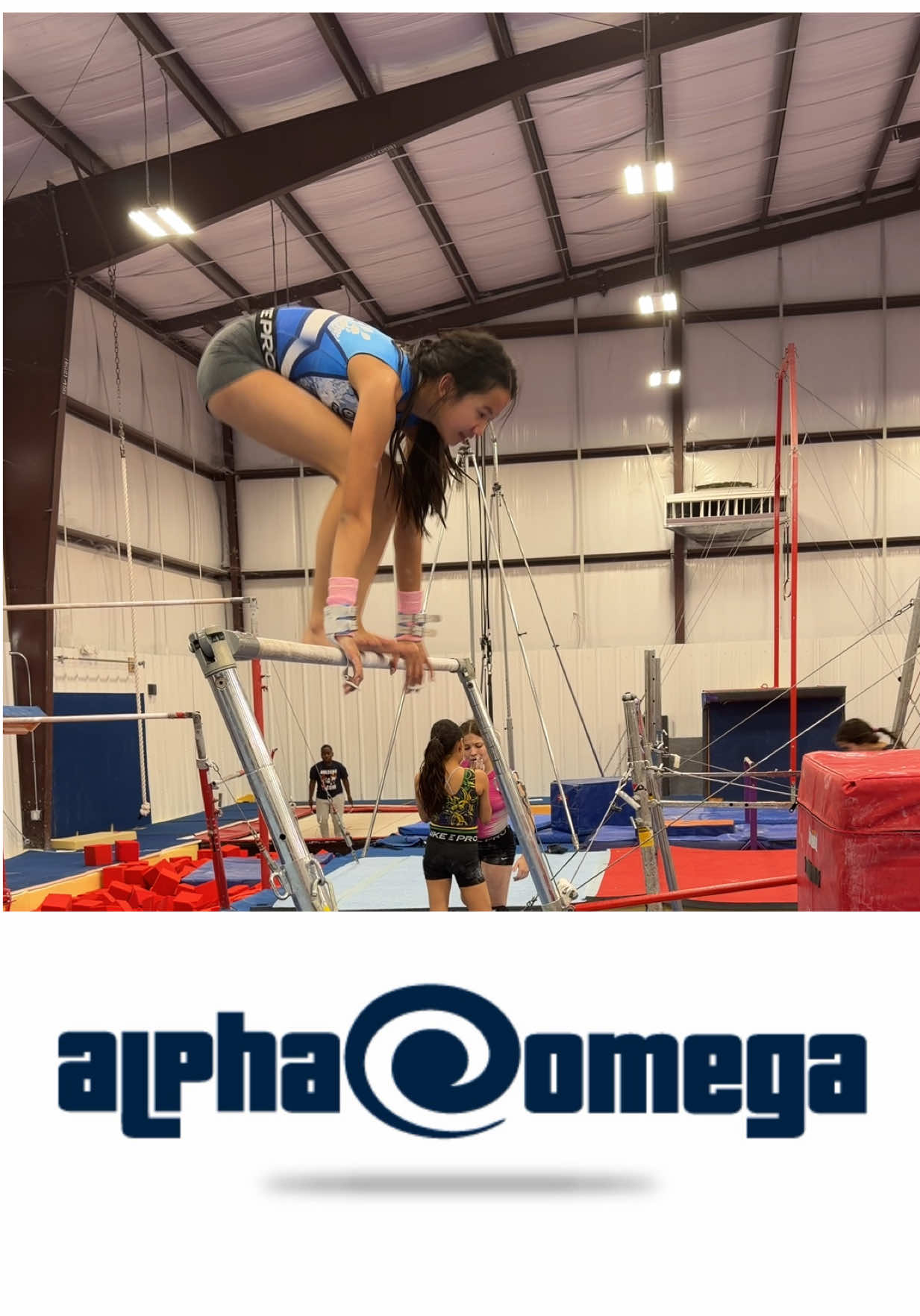 @alphaomegateam