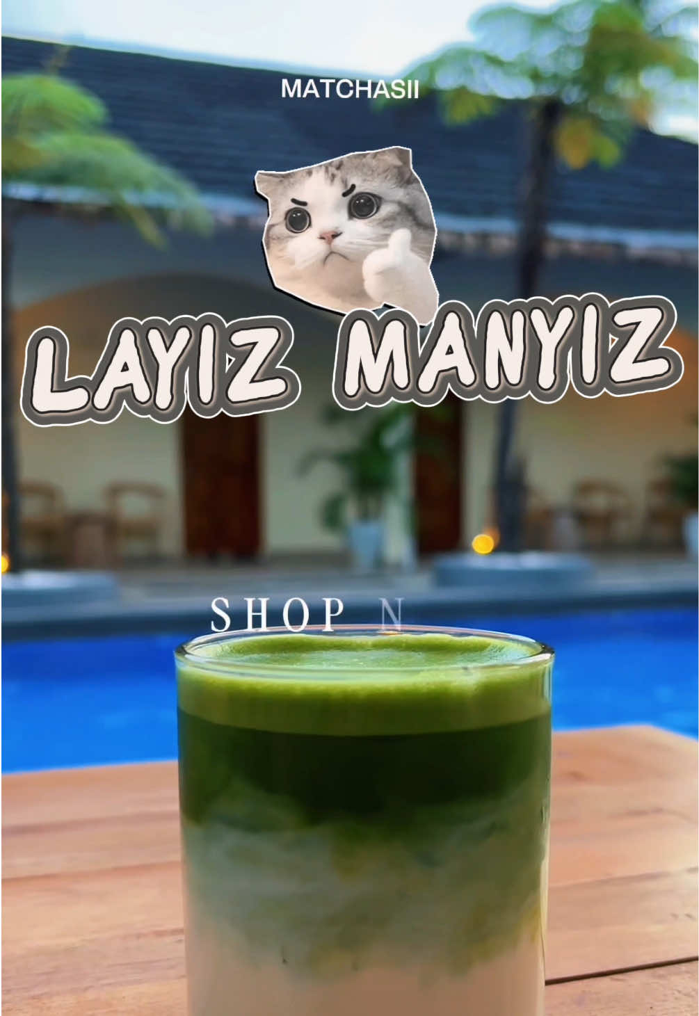@MATCHASII SUPPLIER MATCHA