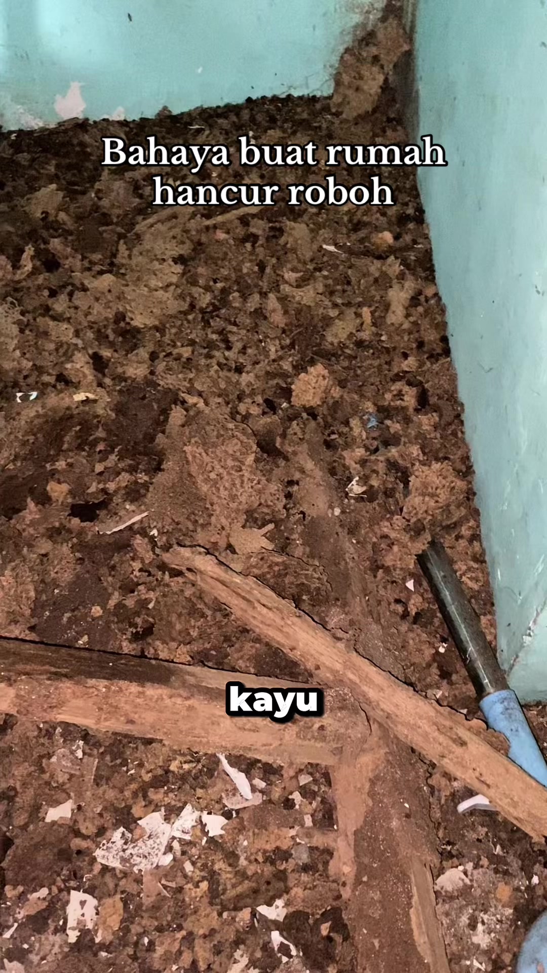 @KUCINGMASS