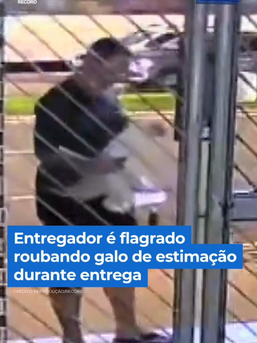 @Balanço Geral