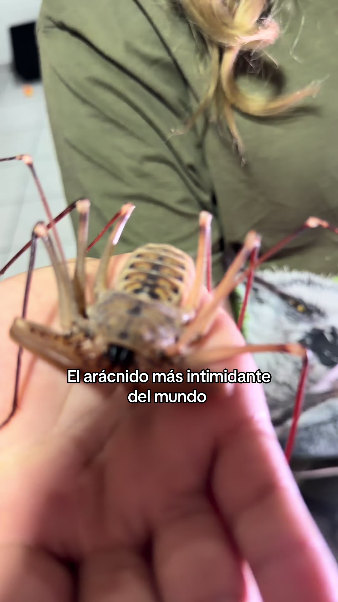 @Jair Herrera 🐆