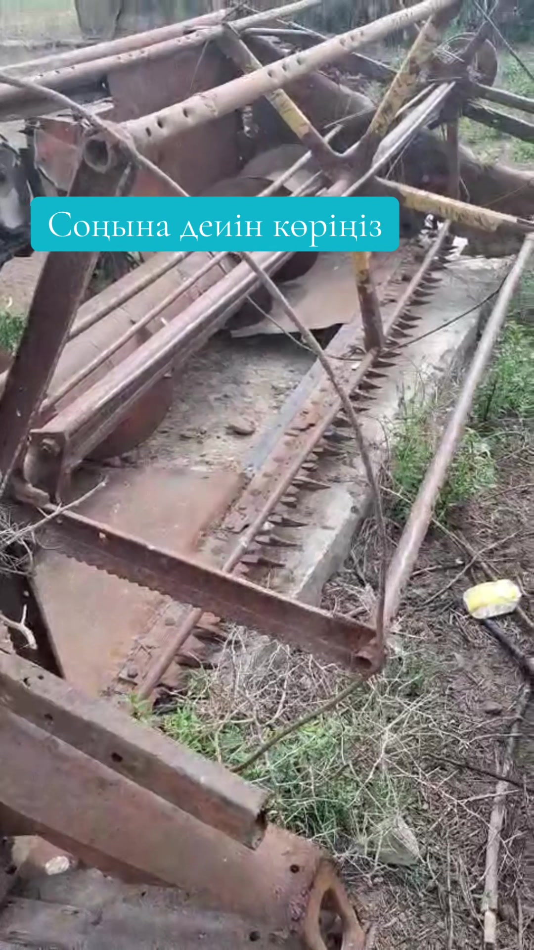 @⚜️Байырхан⚜️