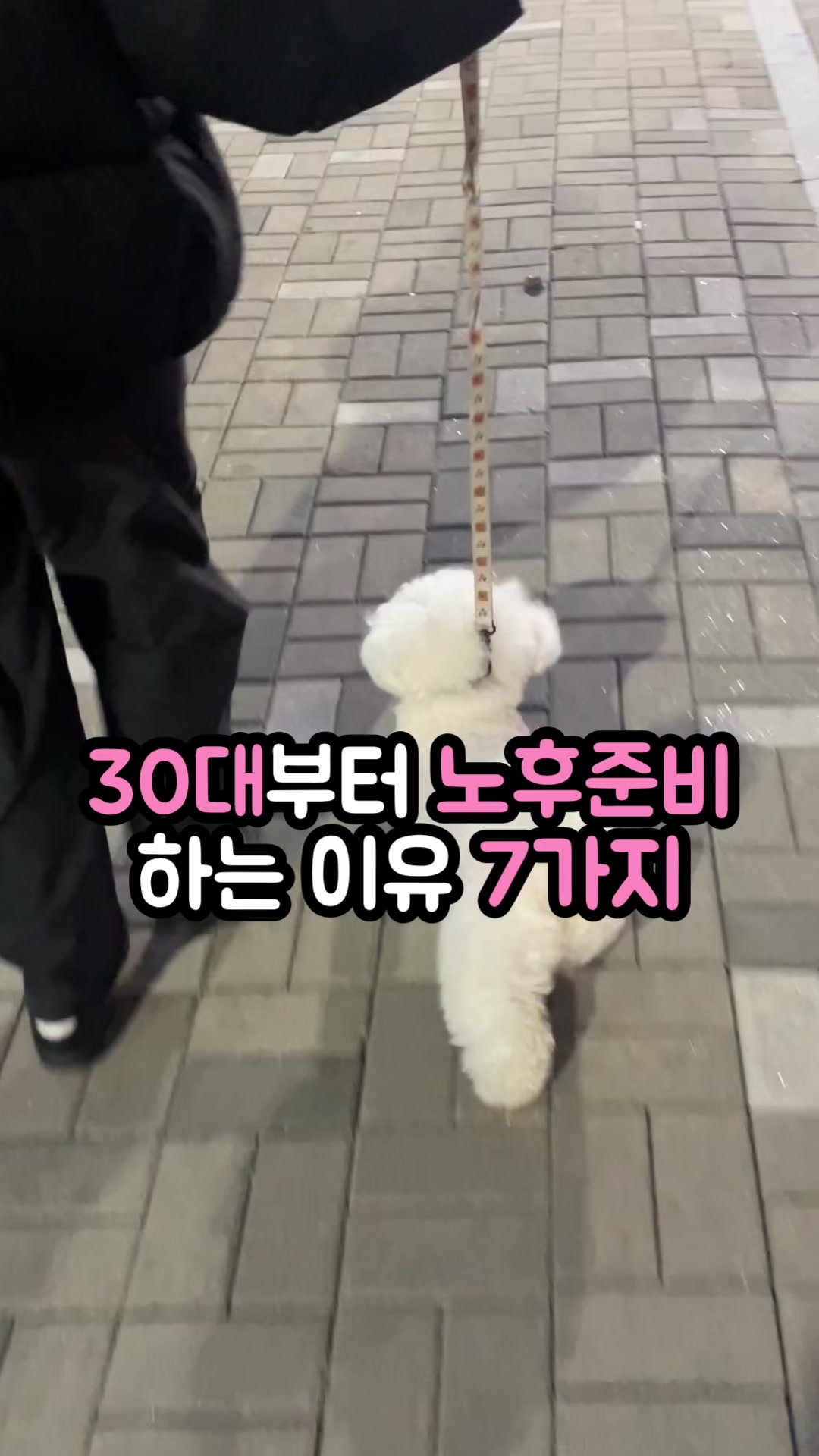 @자유 레코드