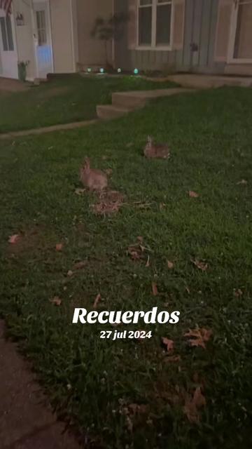 @catarinamatom203