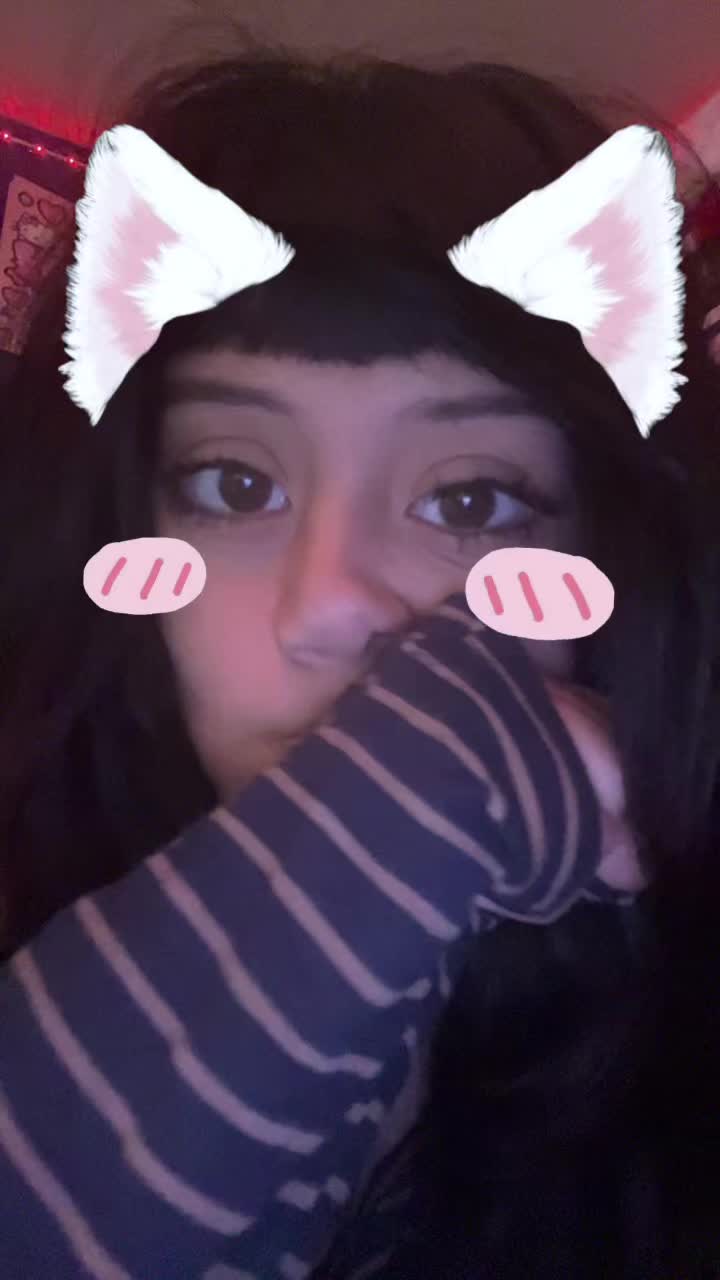 @lisette