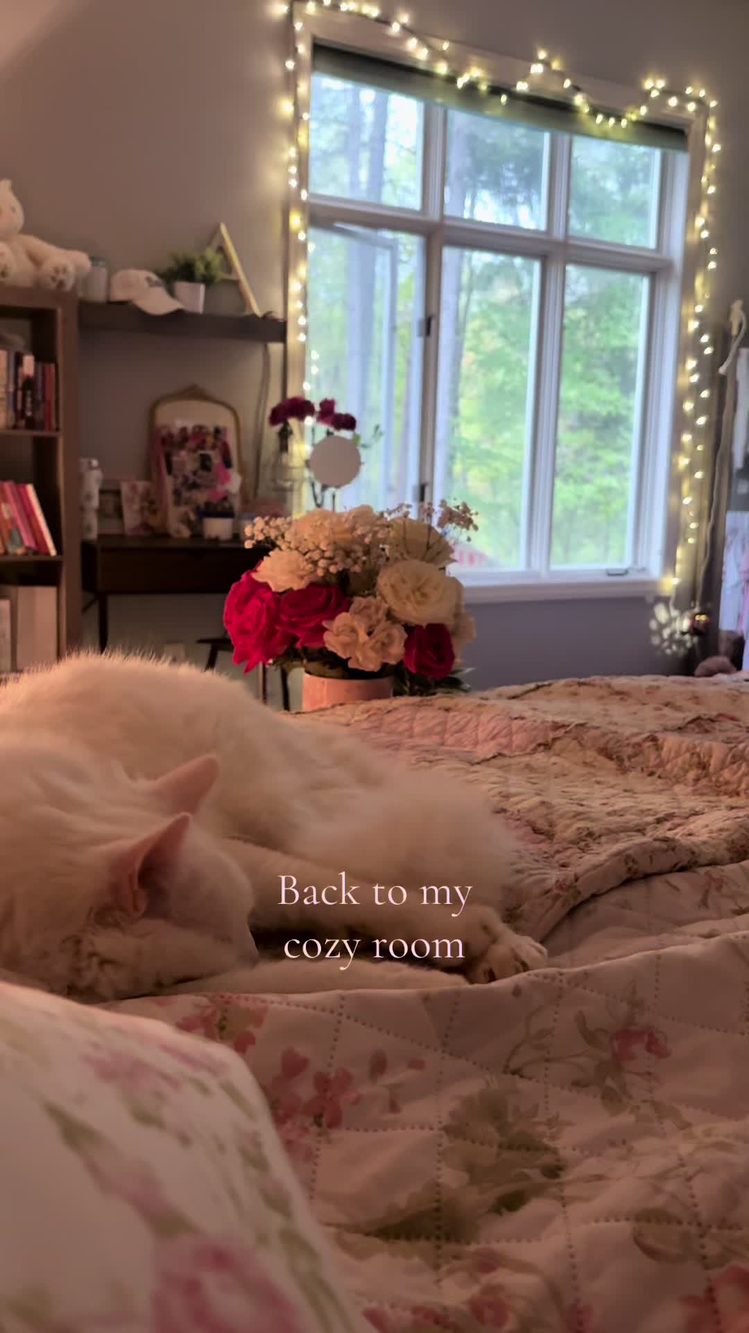 @&alpha;ɳɳ&alpha; ꨄ