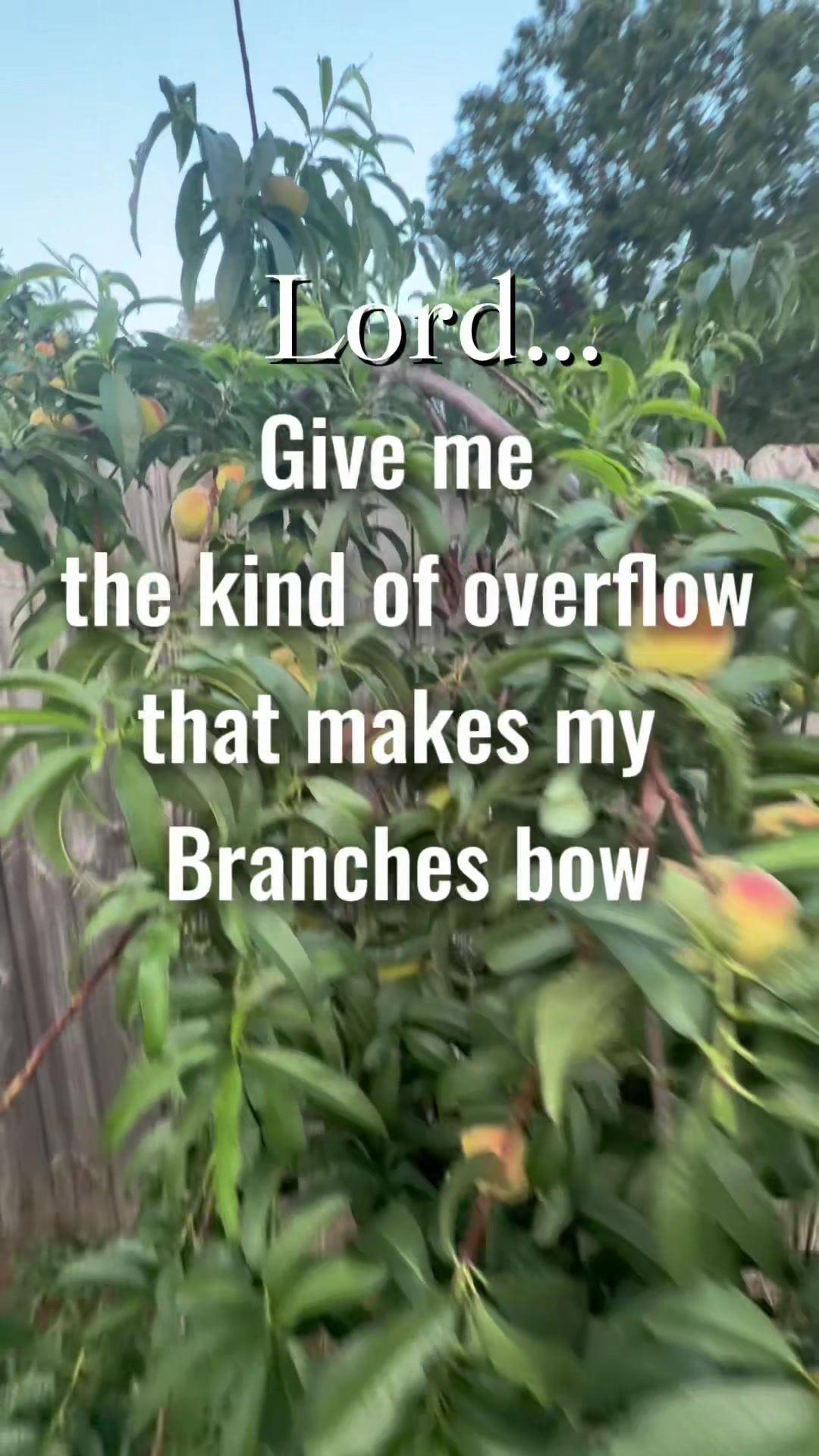 @YoShe Grows 🌱