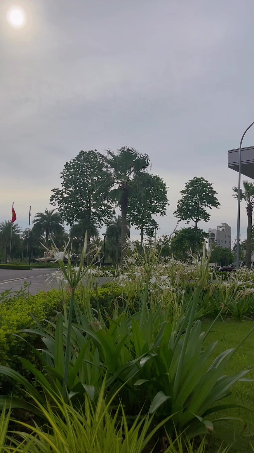 @Cô Mây Hà Nội