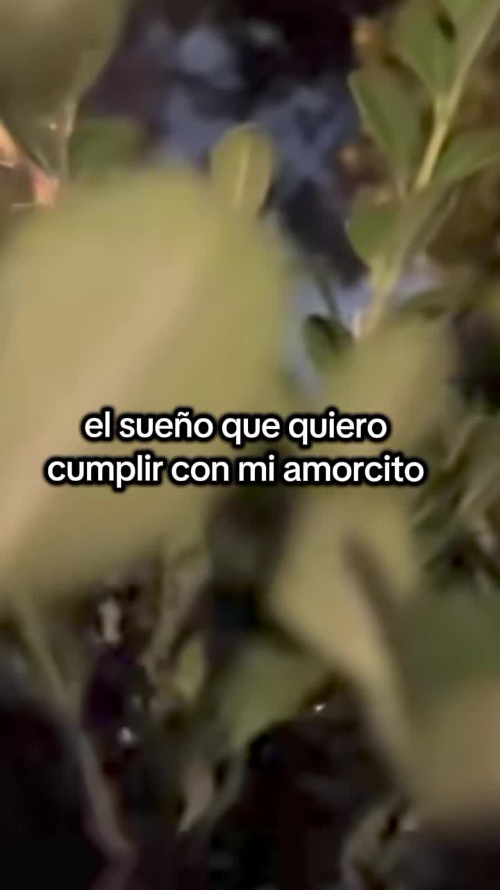 @Edwin❣📿🧿frases🔮